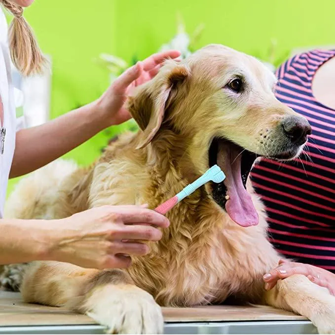 2pcs Super Soft 3 Sided Pet Toothbrush Dog Teeth Brush