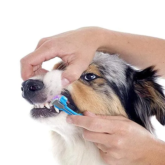 2pcs Super Soft 3 Sided Pet Toothbrush Dog Teeth Brush