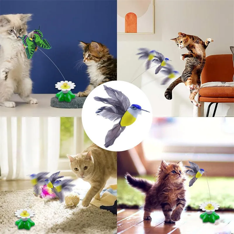 Aiitle Electric Rotating Bird & Butterfly Teasing Cat Toy