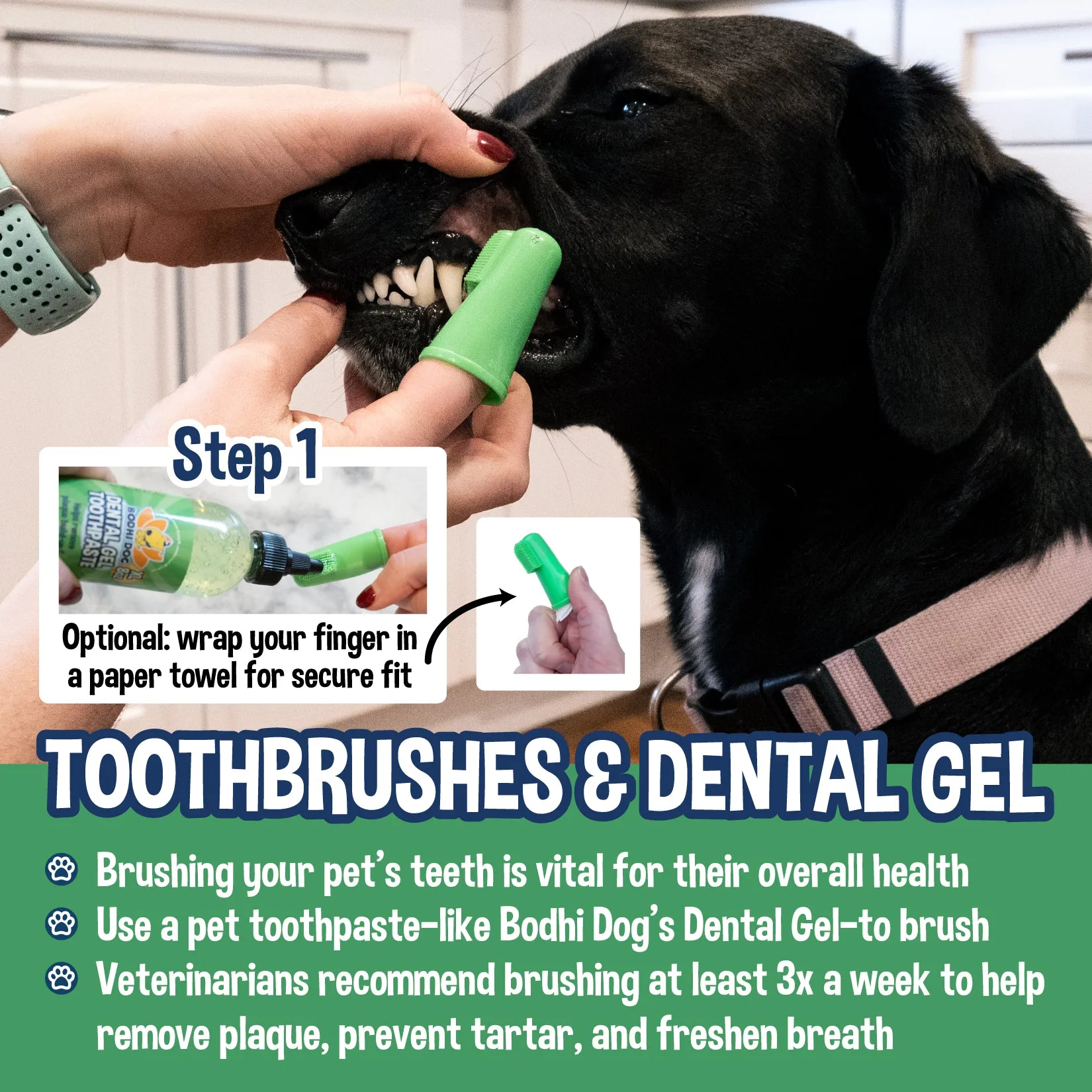 Bodhi Dog Finger Toothbrush for Dogs & Cats | Puppy Toothbrush with Soft & Flexible Silicone Bristles for Pet Dental Care | Easy Teeth Cleaning Dog Finger Toothbrush