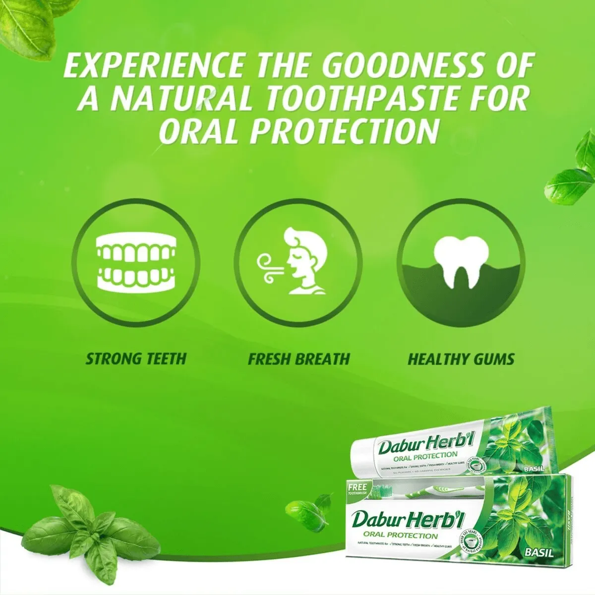 Dabur Herbal Basil Oral Protection Toothpaste With Tooth Brush Free - 150g