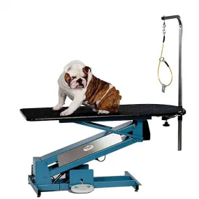 MasterLift LowRider RP Electric Grooming Table with Rotating Post