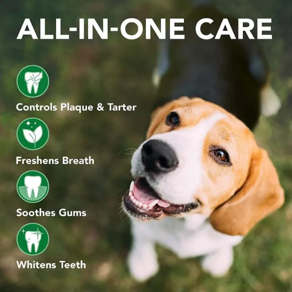 Vet's Best Advanced Dental Foam for Dogs